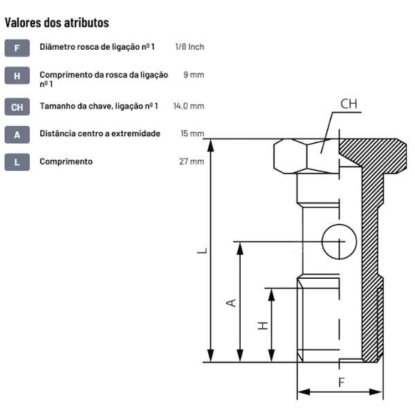 Parafuso oco duplo para encaixe Banjo - HBSO18