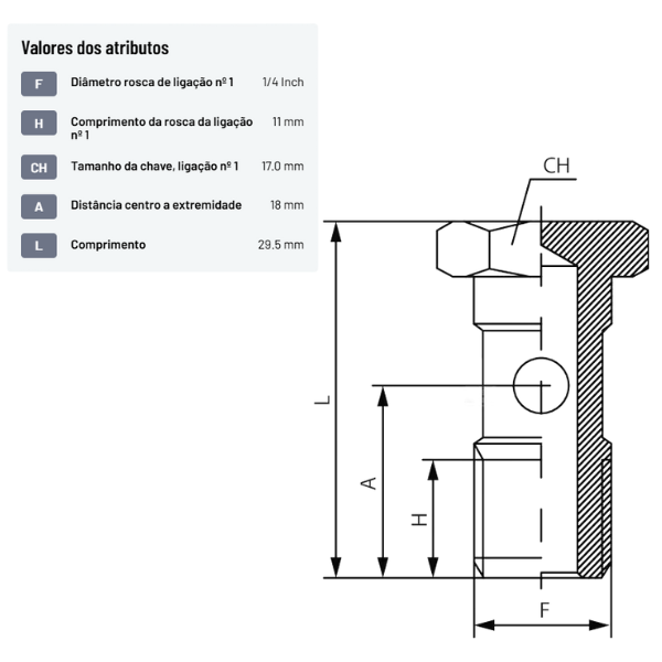 Parafuso oco duplo para encaixe Banjo