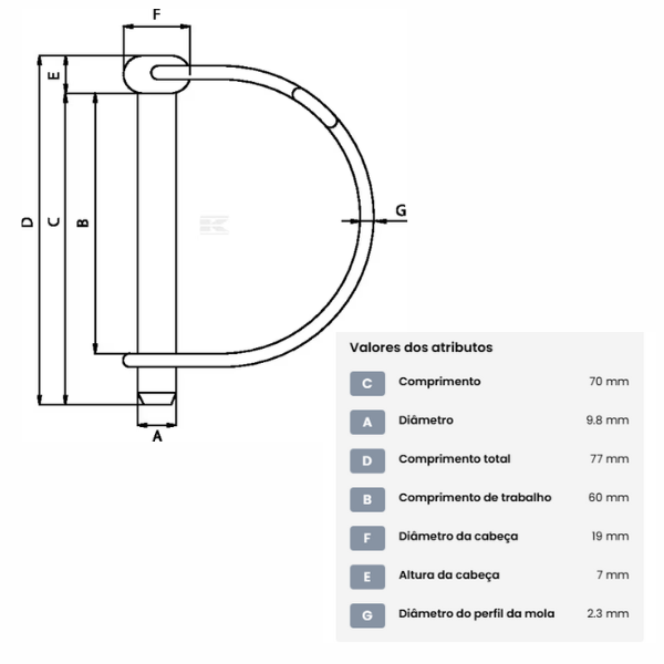 Pino de engate de segurança com anel, 10 mm x 70 mm